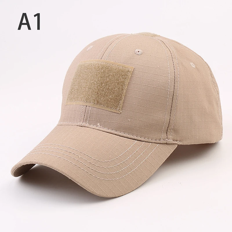 a1