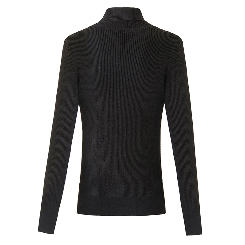 Pull à col roulé monochrome pour femme, pull skinny, vert armée, minimaliste, début du printemps, discuter de la tête, strucdécontracté, mode, 2024